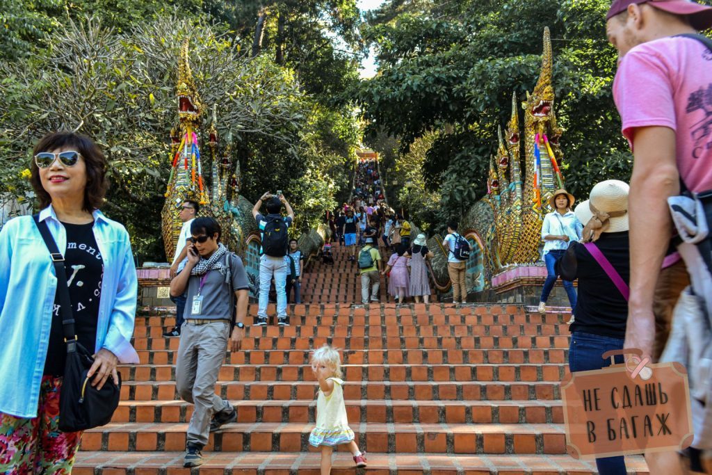 309 ступенек по лестнице до входа в храм Дой Сутхеп